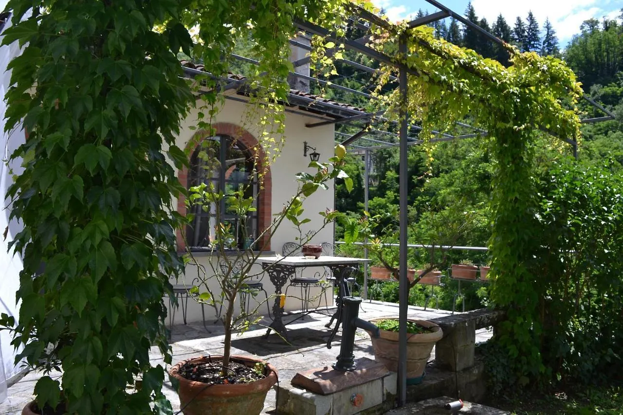 Holiday home La Limonaia Di Casagrande Villa Barga