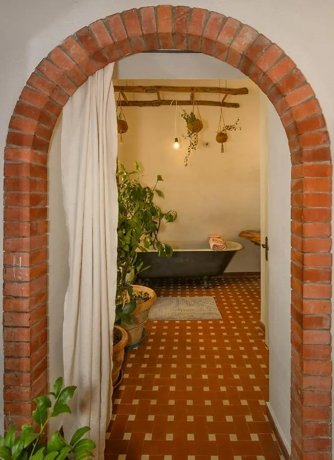 Holiday home La Limonaia Di Casagrande Villa Barga